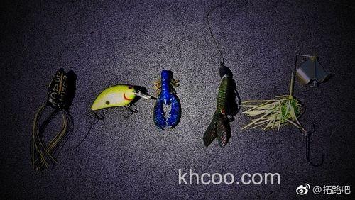 炎炎夏日相约草区大嘴鲈鱼之攻略钓法