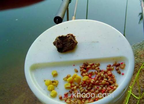 嫩麦粒钓鱼泡制方法？