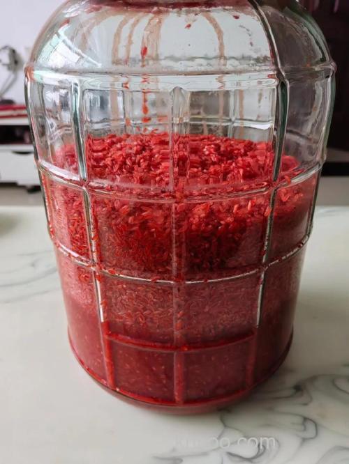 用粟米泡酒钓鱼效果怎么样？