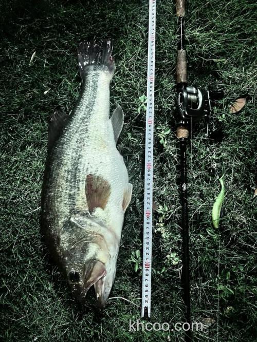 秋季BASS（鲈鱼）作钓的小细节