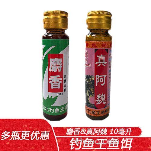 麝香和阿魏哪个钓鲤鱼好？