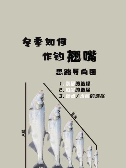 冬季路亚BASS小贴士