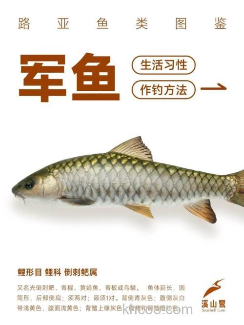 南方地区深秋路亚军鱼细节谈