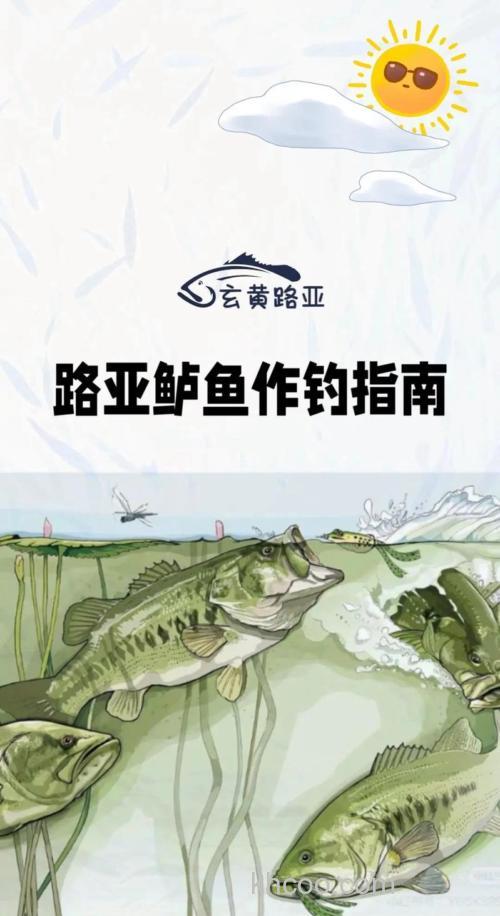 跟随Joe Everett体验大嘴黑鲈鱼的路亚作钓经验