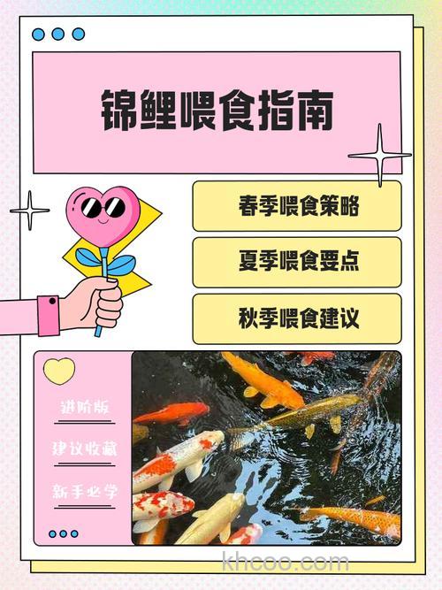 怎么给鱼喂药？