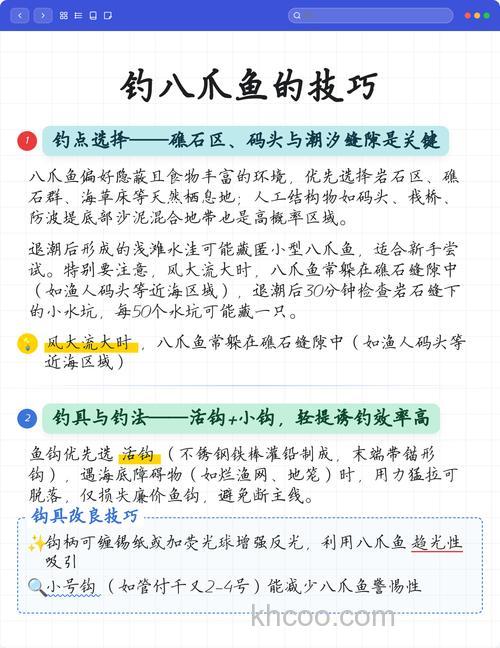 江苏沿海钓八爪鱼攻略，钓点选择及操作技巧大揭秘