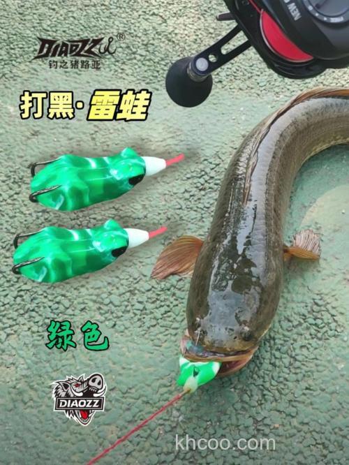 钓黑鱼或者草鱼用什么饵料好？