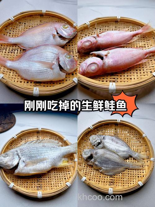 哪种鱼比较喜欢吃米饭？