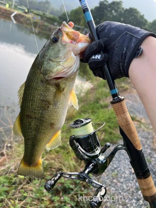 春季路亚鲈鱼（BASS）的作钓经验小谈