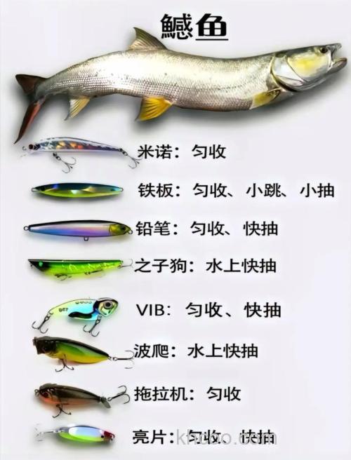 国内路亚对象鱼对应路亚饵的范围