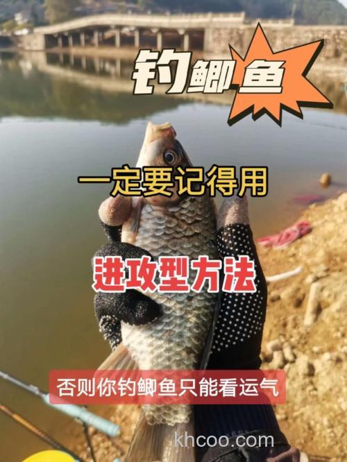 竞技鲫鱼混重怎么打？