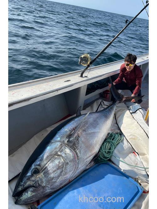 海钓金枪鱼放生技巧大揭秘！掌握要点提升存活概率