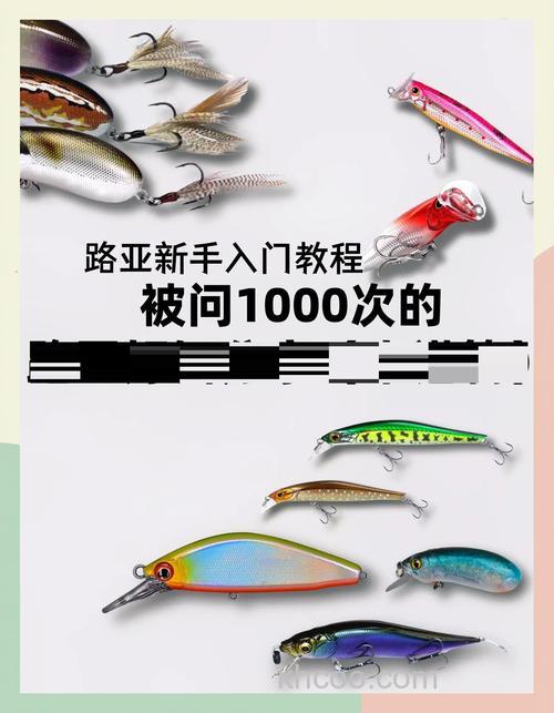 Bassmaster路亚大师精英赛 著名选手大卫·沃克最喜欢的5款浅水拟饵