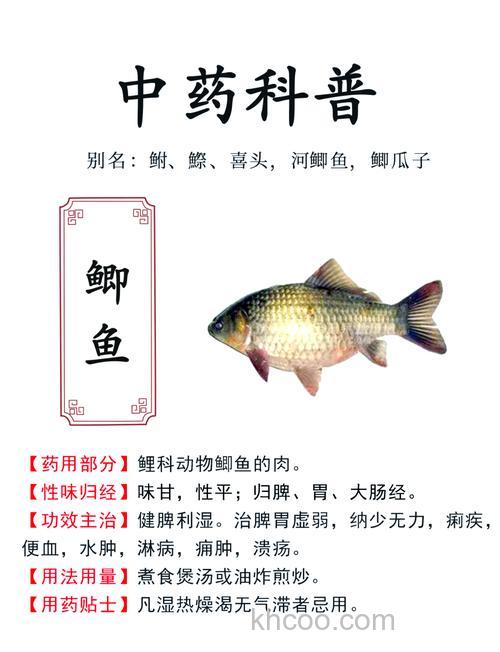 鱼塘中鲫鱼的作用？