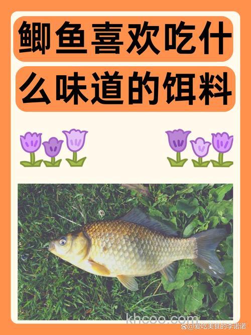 鲫鱼喜欢吃什么味道的饵料