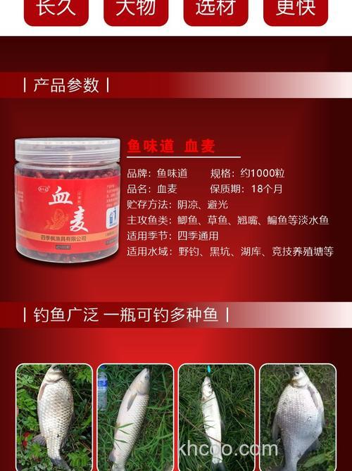 野生塘角鱼用什么料打窝？