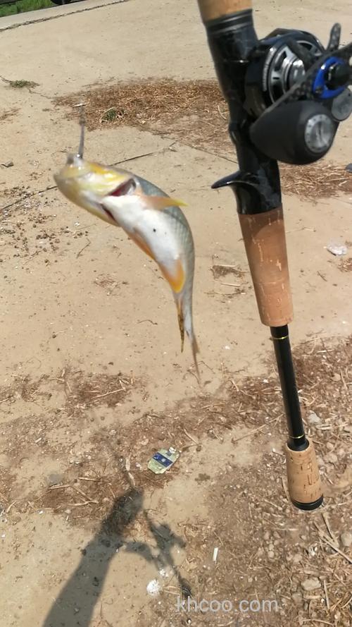 溪流路亚-青山绿水戏马口