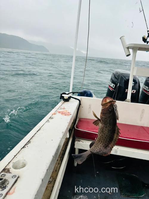 雨中过后海钓优势多？掌握这些技巧，钓获数量明显提升