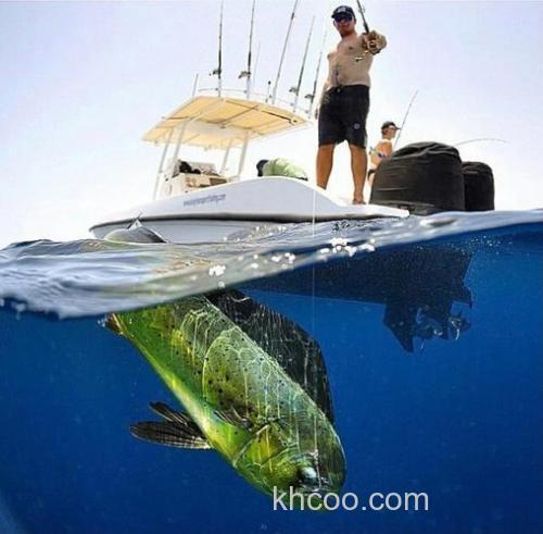 海钓鬼头刀：掌握技巧与钓具选择，畅享挑战与乐趣