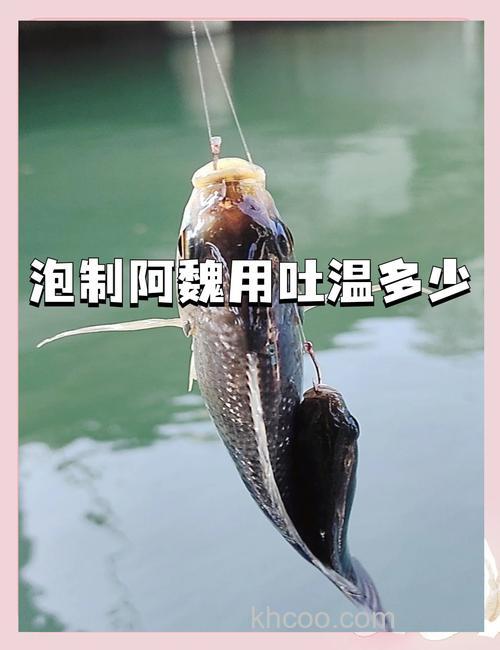 用阿魏如何泡制钓鱼药酒