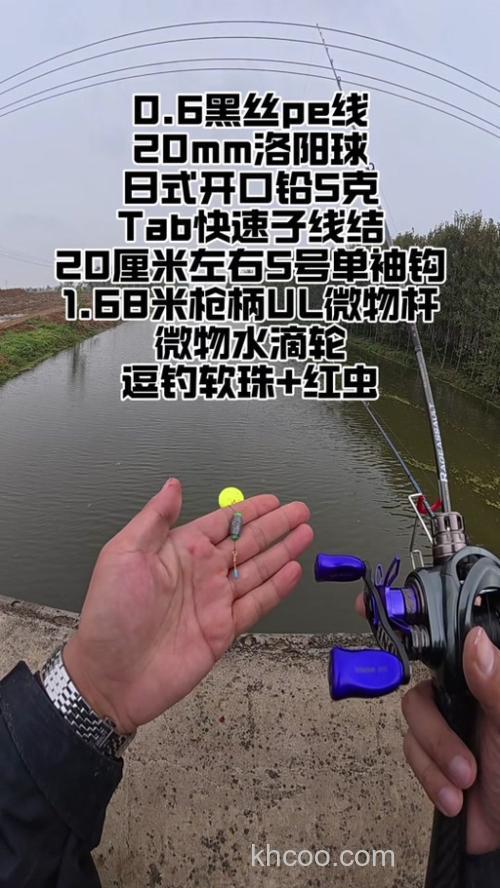 钓鲫鱼用什么套餐上鱼上的快呀