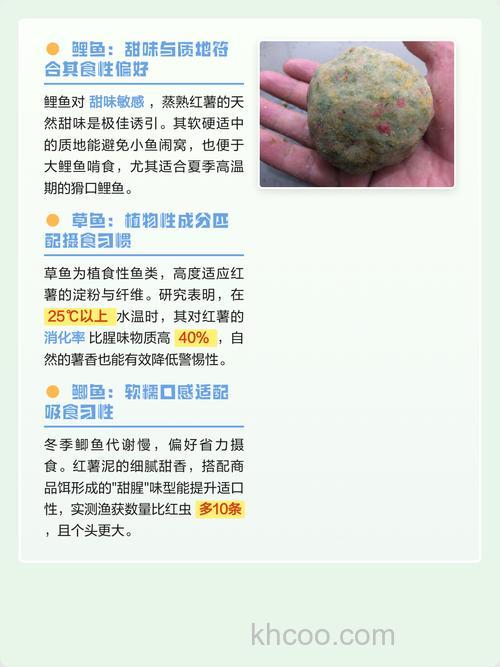 熟红薯钓鱼效果怎么样