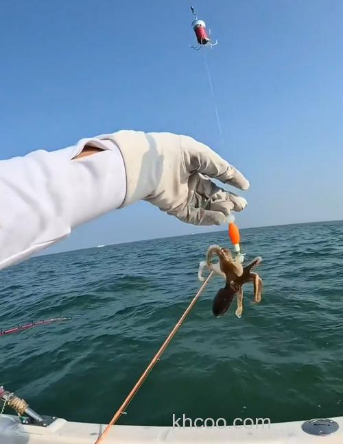 海钓八爪鱼的乐趣与技巧，钓点选择及潮水影响全解析