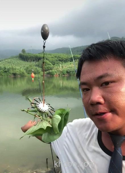 红薯钓草鱼，草鱼可以吃红薯叶吗？