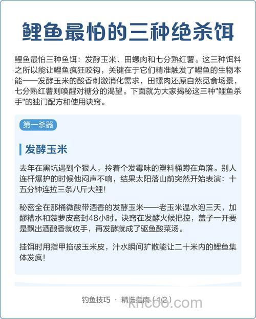 鲤鱼最怕三种饵？