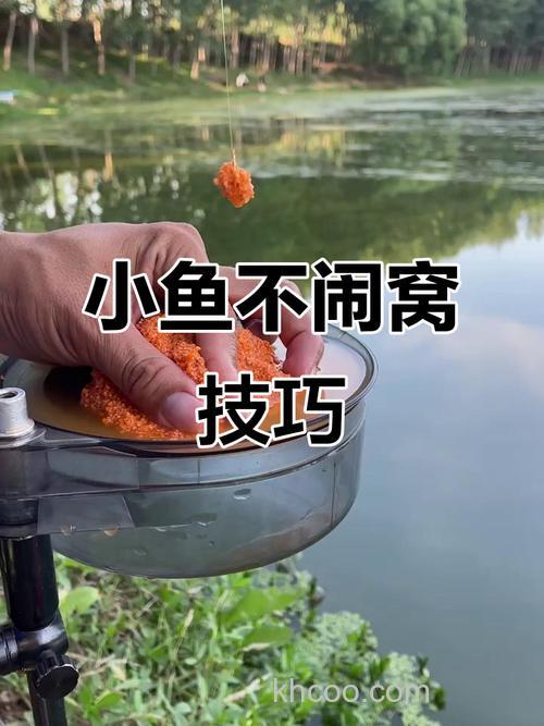 怎么浮钓鲫鱼？怎么防止小鱼闹窝？小弟跪求
