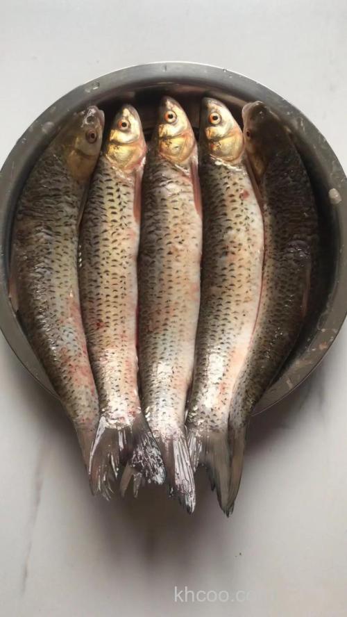 冬季最应该吃什么鱼？