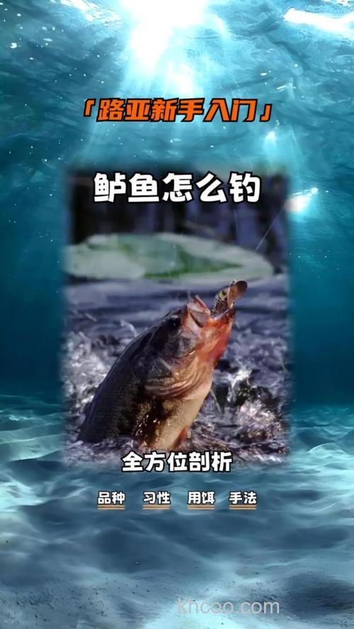 转：浅谈岸钓鲈鱼的一些搜索小技巧
