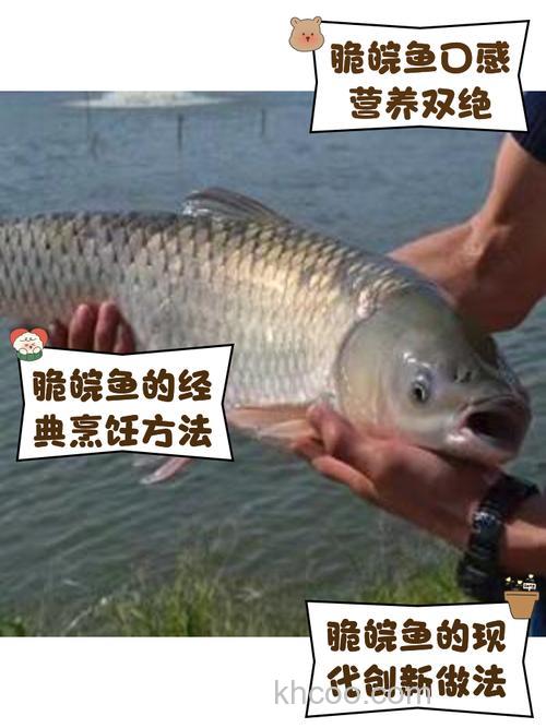 皖鱼用什么饵最好钓到？