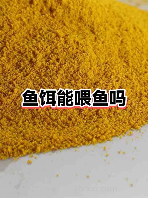 把鱼捂臭能做鱼饵吗