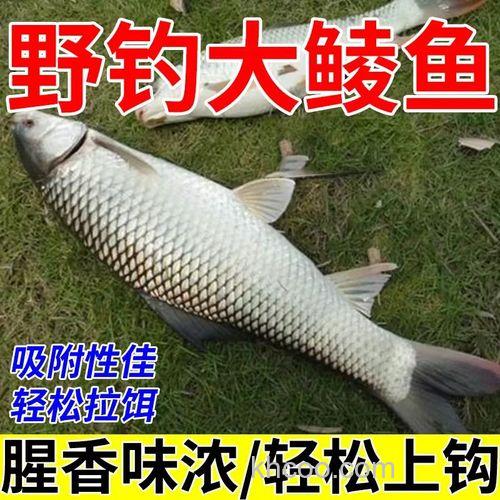 钓麦鲮鱼最佳饵料配方？