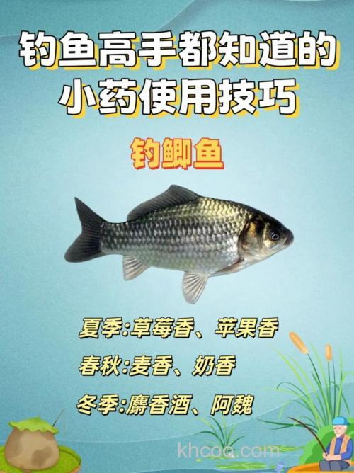 钓鱼小药怎么用的，谁知道？