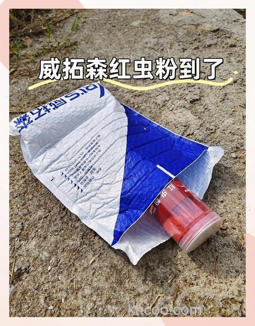 红虫粉配什么料钓鲫鱼最佳？