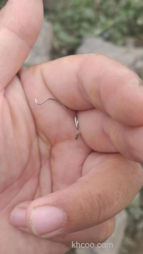 拉丝钓小鱼为什么总是被脱钩？