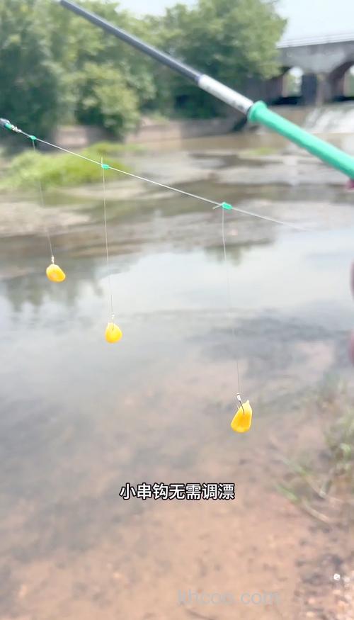 串钩钓鱼何时扬杆