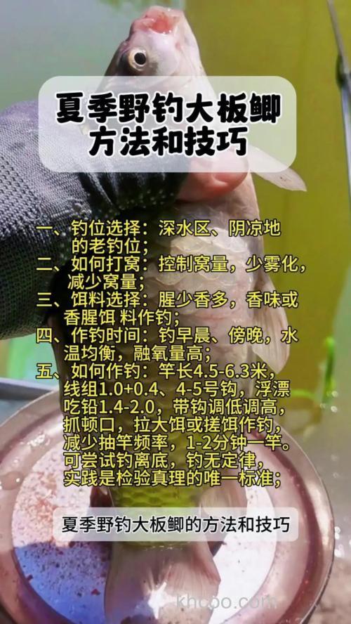 立夏野钓正当时，掌握这些要点，钓位选择有诀窍