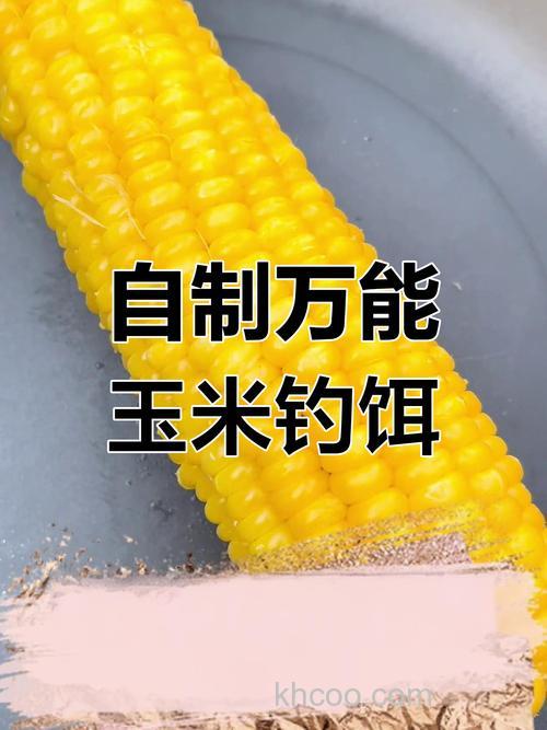 玉米用甚么配料钓鱼好