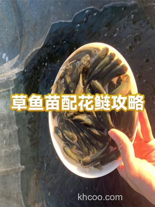 花莲和草鱼饵料一样吗