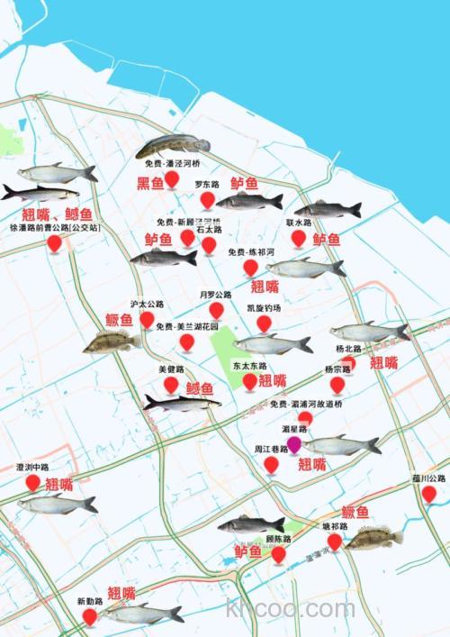 上海钓鱼全攻略：野钓点在哪？关键技巧有哪些？