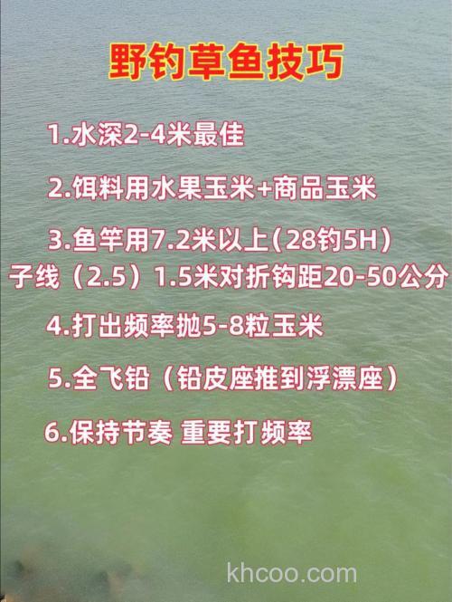 钓鱼草鱼的饵料怎么配