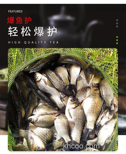 野钓水库钓鲤鱼用麝香玉米粒可以吗？