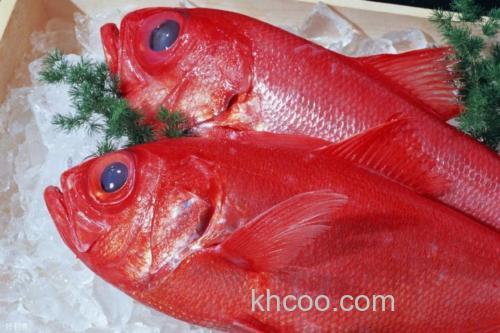 海钓美国红鱼技巧大揭秘，掌握这些轻松应对鱼类习性