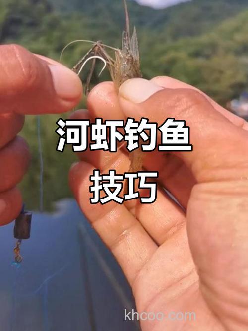 河虾钓什么鱼？