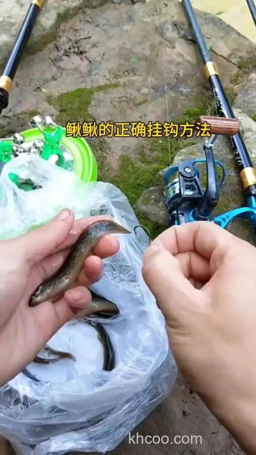 用泥鳅钓鱼的方法如下？