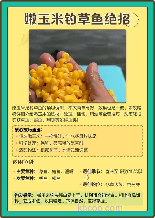 玉米钓草鱼绝招