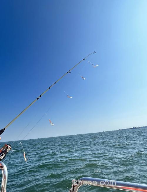 青岛路亚海钓：结合海洋环境与拟饵技巧，享受挑战乐趣